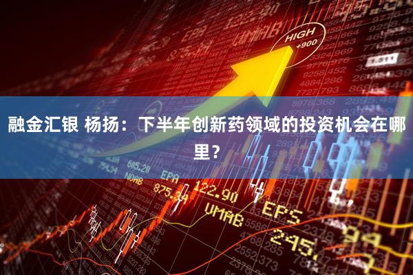 融金汇银 杨扬：下半年创新药领域的投资机会在哪里？